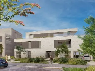 Handelspand te koop Zemst (RBU49635)