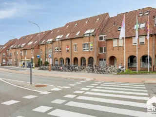 Handelspand te koop Lommel (RBU49737)