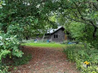 Terrain agricole à vendre Ranst (RBU49774)