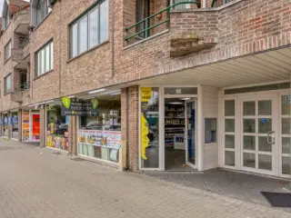 Handelspand te koop Mol (RBU50233)