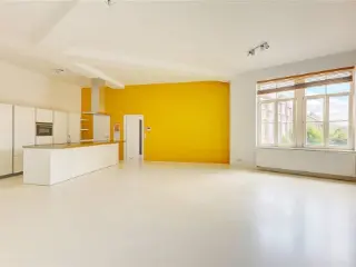 Loft à vendre Anvers (RBU50393)