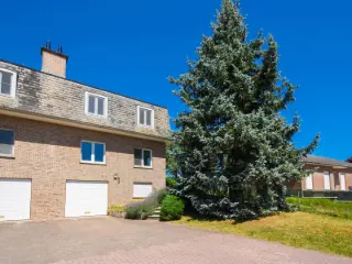 Maison à louer Vossem (RBU50466)