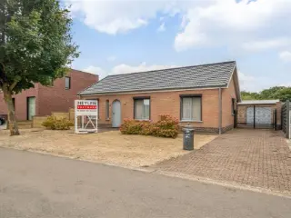 Maison à vendre Lommel (RBU50575)