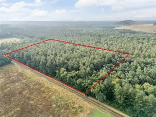 Farmland for sale Opglabbeek (RBU51023)