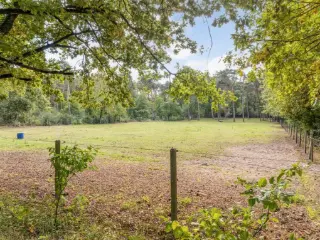 Farmland for sale Genk (RBU51032)