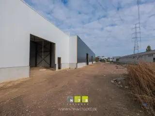 Industrial building for sale Maaseik (RBU51070)
