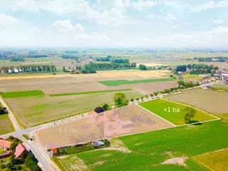 Terrain agricole à vendre Dixmude (RBU51120)