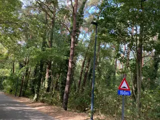 Development site for sale Keerbergen (RBU51127)