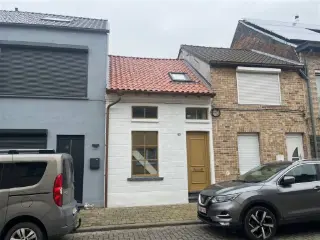 Huis te huur Willebroek (RBU51284)