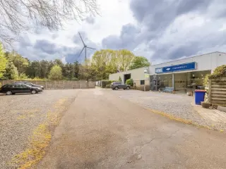 Handelspand te koop Geel (RBU51352)