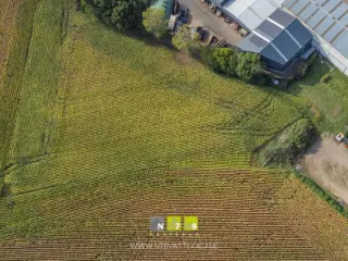 Terrain agricole à vendre Dilsen-Stokkem (RBU51680)