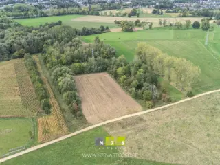 Terrain à vendre Eisden (RBU51681)