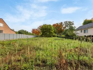 Grond te koop Tessenderlo (RBU51830)