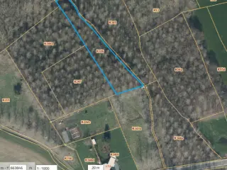 Wood for sale Sint-Pieters-Leeuw (RBU51858)