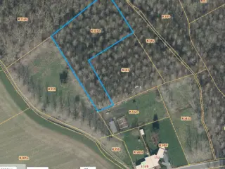 Wood for sale Sint-Pieters-Leeuw (RBU51860)