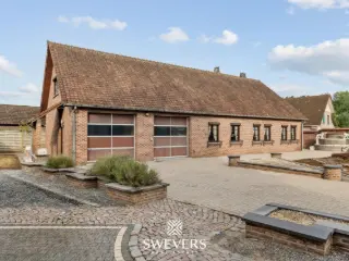 Surface industrielle à vendre Koersel (RBU51905)