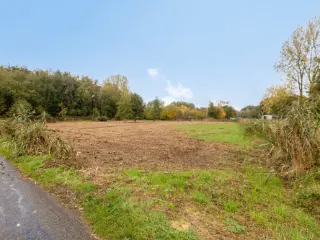 Farmland for sale Houthalen-Helchteren (RBU52203)