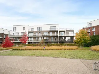 Appartement à vendre Renaix (RBU52423)