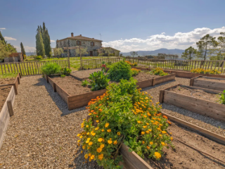 Residence for sale Radicofani (RBU53294)