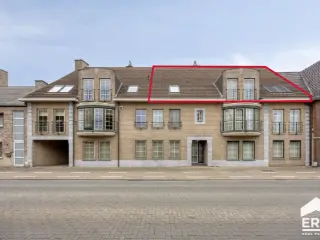 Duplex te koop Pelt (RBU55520)