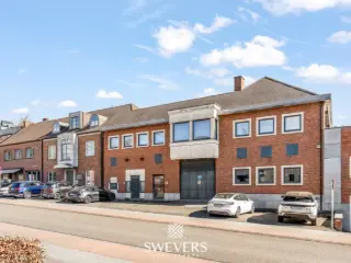 Handelspand te koop Lummen (RBU55527)