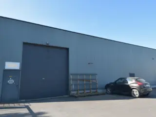 Handelspand te huur Sint-Niklaas (RBU55579)