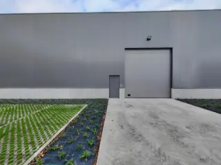 Industrial building for sale Brugge (RBU55701)