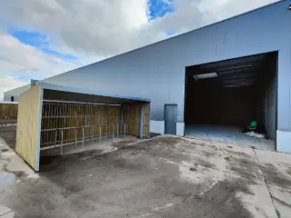 Industrial building for sale Brugge (RBU55702)