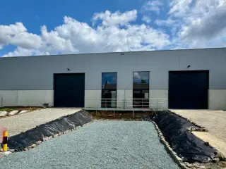 Surface industrielle à louer Asse (RBU55708)