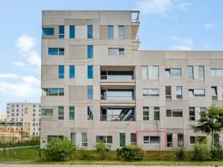 Kot te koop Antwerpen (RBU55901)