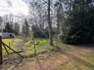 Farmland for sale Stekene (RBU56012)