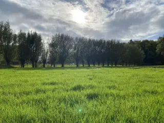 Farmland for sale Sint-Pauwels (RBU56242)