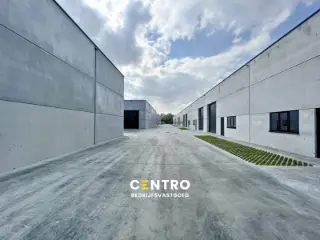 Industrie te huur Waregem (RBU56314)