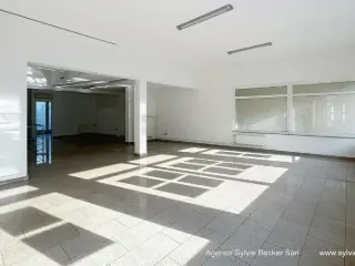 Commercial building for rent Walferdange (RBU56567)