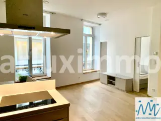 Appartement à louer Luxembourg (RBU56760)