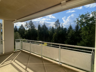 Apartment for rent Luxembourg (RBU58065)