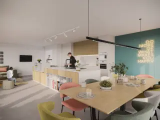 Kot te koop Jette (RBU58364)