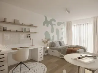 Kot te koop Jette (RBU58366)