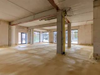 Handelspand te koop Geel (RBU58389)