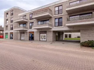 Handelspand te koop Geel (RBU58390)