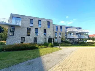 Rez-De-Chaussée à louer Hamme (RBU58552)