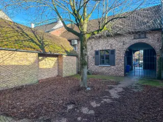 Handelspand te koop Peer (RBU58855)