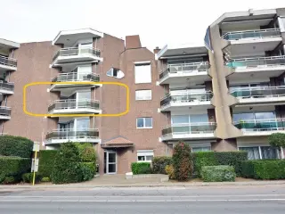 Appartement te huur Maaseik (RBU58930)