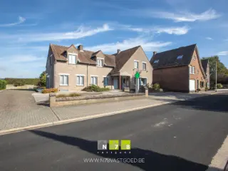 Handelspand te koop Maasmechelen (RBU58970)