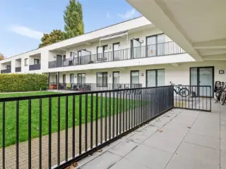 Gelijkvloers te koop Antwerpen (RBU59036)