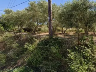 Maison à vendre Arkadi (RBU59780)