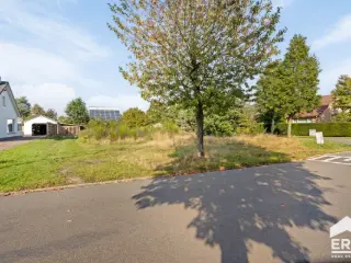 Development site for sale Lommel (RBU60044)