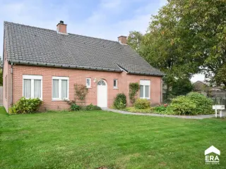 Maison à vendre Neerpelt (RBU60188)