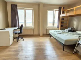Studio à louer Louvain (RBU60274)