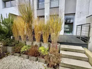 Huis te koop Bereldange (RBU60398)